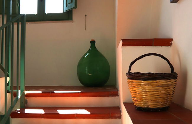 Azienda Agricola Francesca Stajano - Foto 58