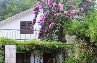 Apartments by the sea Cove Vela Stiniva - Hvar - 19951 - Foto 8