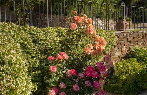 Podere Cerretino - Foto 11