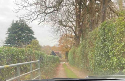 Luxury New Forest Barn, ideal for couples - Photo 15