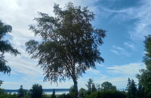 Fischstübchen Neeberg Fewo 6 – Seeadler - Foto 17