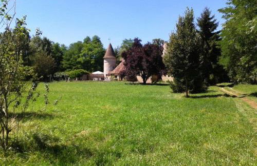 Beautiful Castle in Le Veurdre with Private Pool - Foto 37