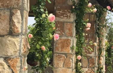 Mythos Holidays & Events - Photo 67