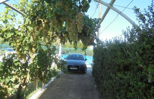 Kostas Family House - Foto 39