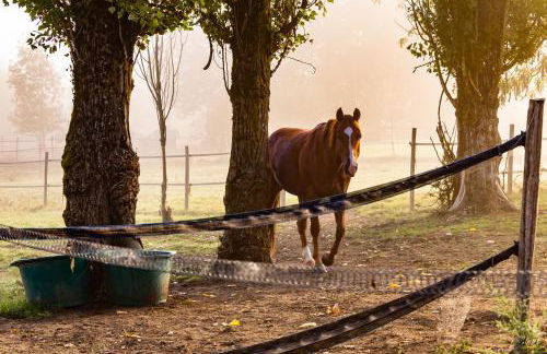 Les gîtes de la nouvelle vie - Foto 37
