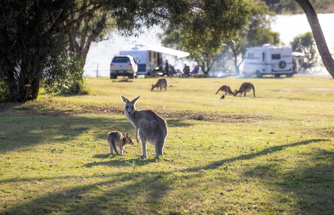 Reflections Lake Glenbawn - Holiday Park - Foto 36