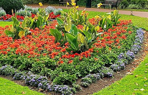 West Park Annex - Central Wolverhampton - Foto 51