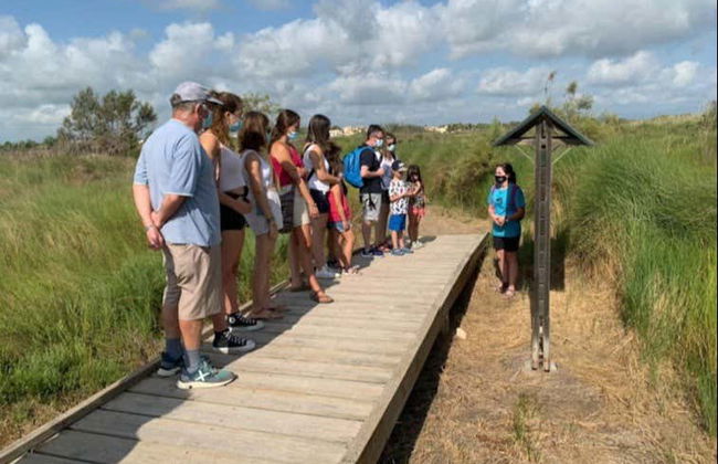 Tour de 4x4 e passeio de barco pelo Delta do Ebro + Degustação de vinhos e mexilhões - Foto 5