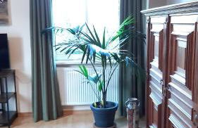 Ferienwohnung Luise, gemütlich, freundlich und ganz nah an Berlin - Foto 15