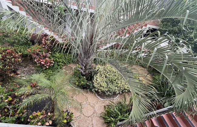 Petrina Studio Apartment - Foto 57