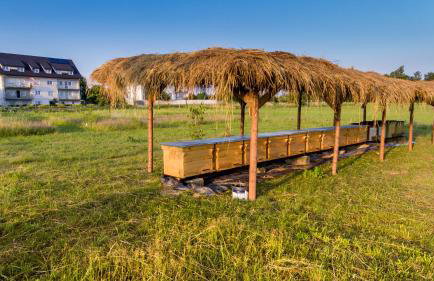 Agroturystyka Sikorki - Foto 33