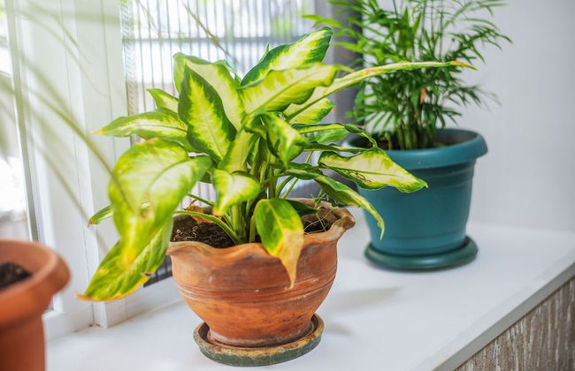 H&B apartments Agmashenebeli II - Foto 38