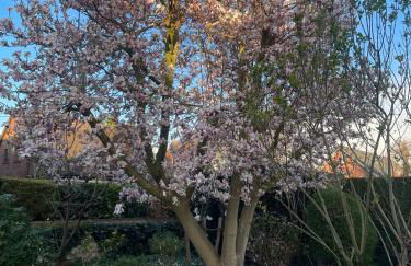 Ferienhaus Magnolie Xanten - Foto 3