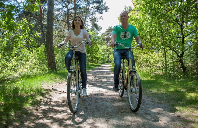 Detached Villa with 4 Bathrooms near Vrachelse Heide - Photo 30