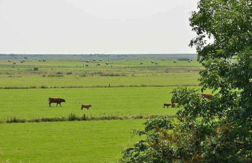 Haus-Archsum - Photo 41