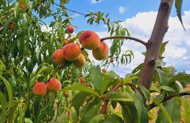 Domki Na Wzgórzu - domek nr 2 - Foto 59