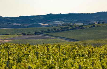 Wine Relais In Montecucco - ColleMassari Hospitality - Foto 76