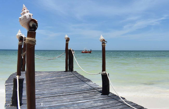 Excursión a la isla Holbox - Foto 2