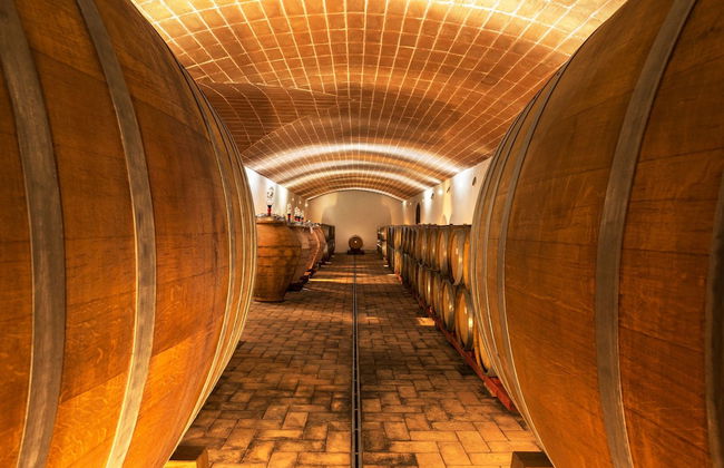 Tenuta Casteani - Foto 53