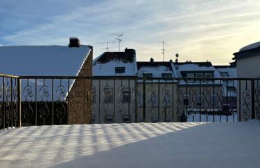 Wohnung Dachterrasse 3 - Foto 2