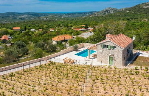 Villa Cavalleria Rusticana with heated pool and vineyard - Photo 17