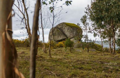 Azenha da Lavoura em Barrega - Foto 70