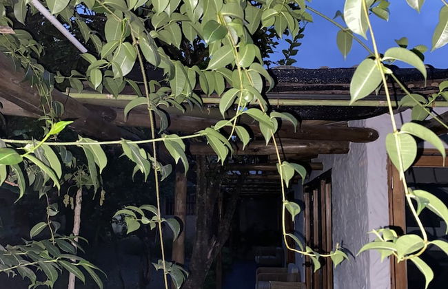 Casa Boutique Remolino - Foto 14