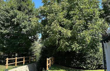 Residenza Alloro - Foto 13