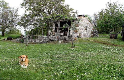 Apartments Mestri - Foto 9