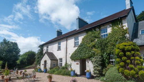 Brokan Fourwinds - Foto 2