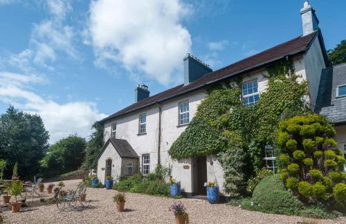 Brokan Fourwinds - Foto 2