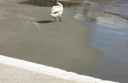 Korthi central appartment by the seaside. - Photo 39