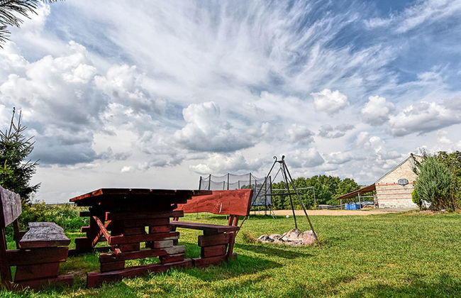 Skarlinówka - Foto 33