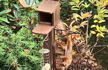 Acorn Cottage & Little Oaks - Photo 45