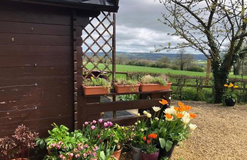 The Old Log Cabin - Foto 2