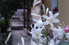 Apartment Matulji - Foto 15