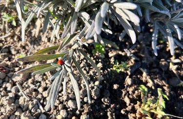 Casa laggiù - Foto 49