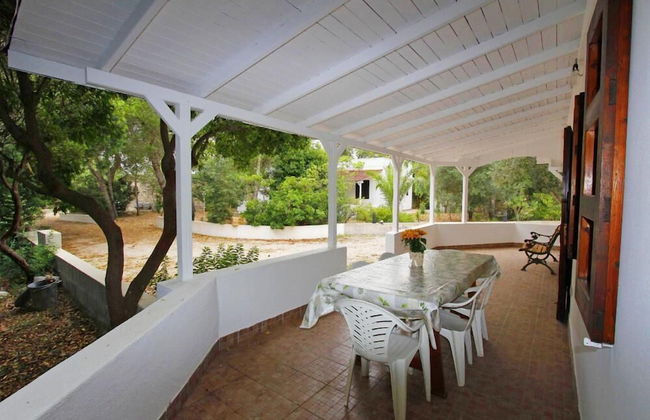 Tenuta la Saracina - Foto 61