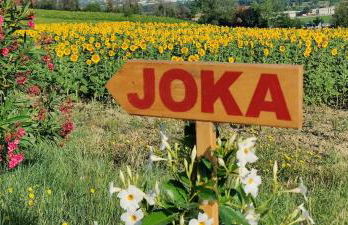 Joka B&B e Home Food - Foto 39