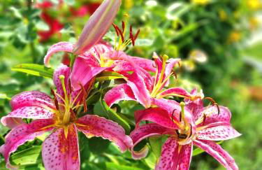 Casa Vacanze Family - Foto 40