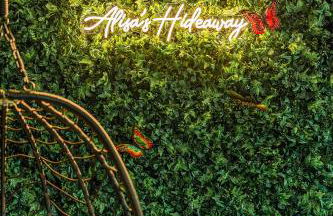 Hike, Golf and Swim! Rumbling Bald Resort Mtn Home - Photo 25