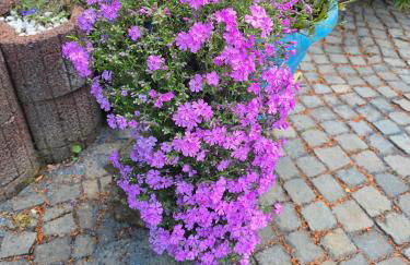 Ferienwohnung-Pension Osterwiese - Foto 14