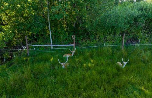 Siedlisko Leszczewek - Foto 76