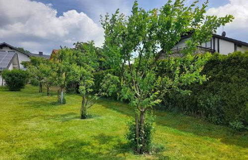 1-Zimmer-Studio am Waldrand - Photo 23