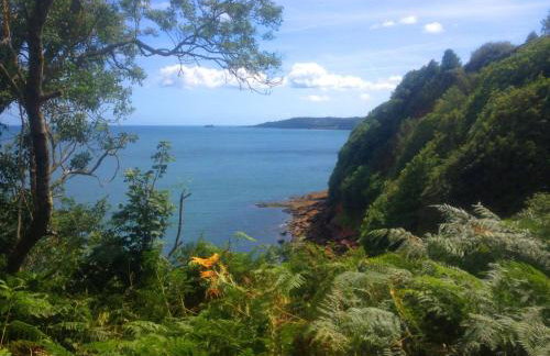 The Nest - Thatched seaside country cottage for two - Foto 48