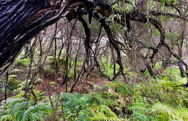 Cosy Corner Seaview Apartments - Foto 29