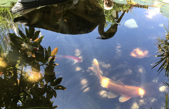 Los Halcones 14 - Foto 42