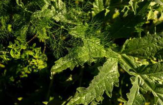 Maison Cachée - Chambres et Appartements en Baie de Somme - Foto 14