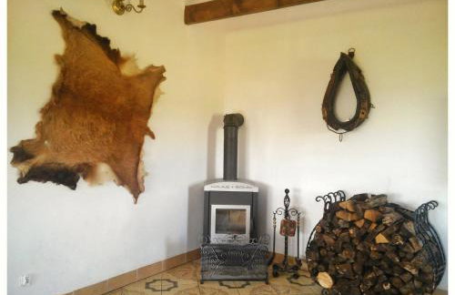 Agroturystyka Leszczynowy Dworek - Foto 34