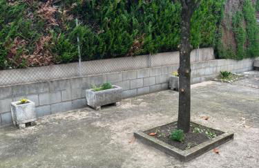 Cals Avis de Sau - Foto 13